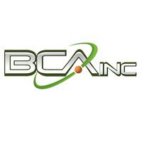 BCA IT, Inc.