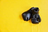  Boxing Gloves / Winner Boxing