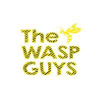 Wasp Nest Removal In Surrey - THE WASP GUY