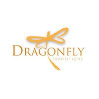 Dragonfly Transitions