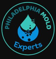 Mold Remediation Philadelphia Solutions