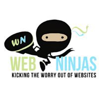 Web Ninjas Digital Marketing & Website Design Agency in Houston