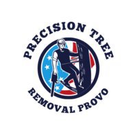 Precision Tree Removal Provo
