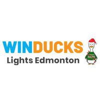 Winducks Lights Edmonton
