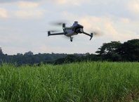 Agricultural drone services