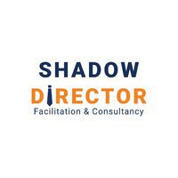 Shadow Director