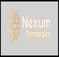 Nexum Strategies LLC