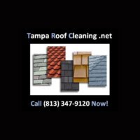 Tampa Roof Cleaning