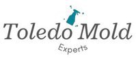 Mold Removal Toledo OH Solutions
