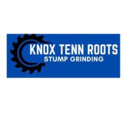 Knox tenn roots