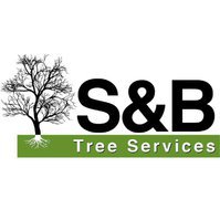S&B Tree Services Northern Beaches