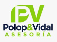 Asesoria Polo Vidal
