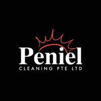 PENIEL CLEANING PTE LTD