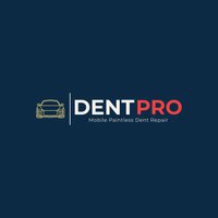 Dent Pro