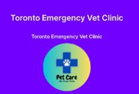 Toronto Emergency Vet Clinic