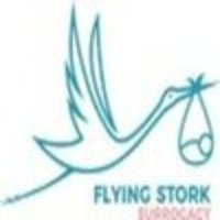 Flying Stork Surrogacy