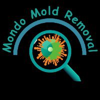 Greensboro, NC - Mondo Mold Removal