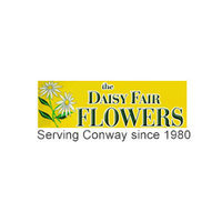 The Daisy Fair Flowers