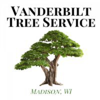 Vanderbilt Tree Service 
