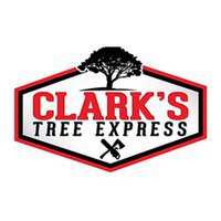 Clarks Tree Express