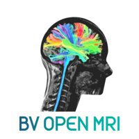 BV Open MRI