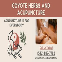 Coyote Herbs and Acupuncture