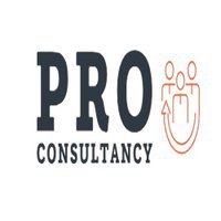 PRO Consultancy UAE