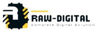 Raw Digital - Digital Marketing Company in Jaipur