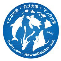 Iruka Hawaii Dolphin