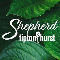 Tipton & Hurst Shepherd