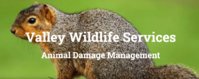 Valley Wildlife Services