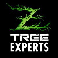 Z Tree Experts