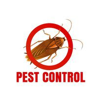  SEO Experts-Pest Control Marketing