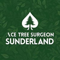 Ace Tree Surgeon Sunderland