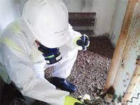 Asbestos Survey Team bromley Ltd