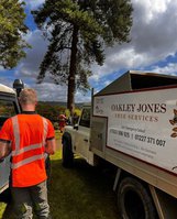 Oakley Jones Tree Services