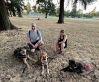 Sit Down & Beyond Dog Training