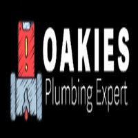 Oakland Plumbing Experts
