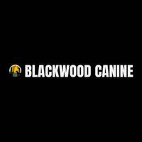 Blackwood Canine