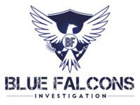 Blue Falcons Investigation