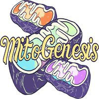 Mitogenesis Regenerative Medicine