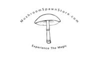 Mushrooms Pawn Store