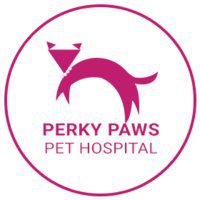 Perky Paws Pet Hospital