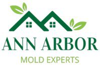 Ann Arbor Mold Remediation Solutions