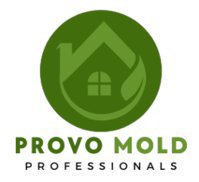 Mold Remediation Provo Solutions