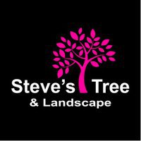 Steve's Tree and Landscape