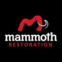 Mammoth Restoration | Kingman Branch