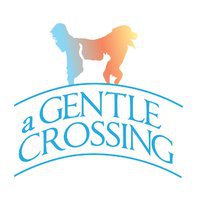 A Gentle Crossing
