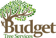 Budget Tree Services