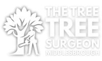 The Surgeon Middlesbrough